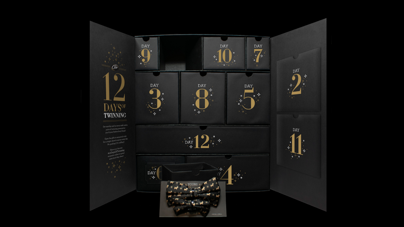 Cesar Spreads Joy to Pets & Owners with “12 Days of Twinning” Holiday