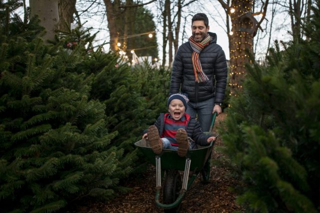 Here Are the Best Christmas Tree Farms in Austin