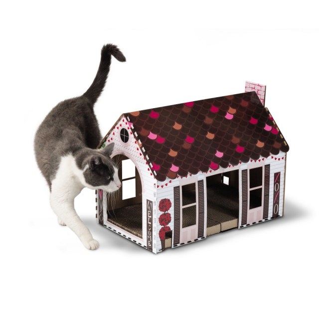 Show Your Fur Babies All the Love with ALDI’s Valentine’s Pet Goodies