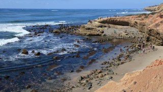 best tide pools to explore with kids in San Diego