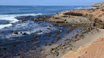 best tide pools to explore with kids in San Diego