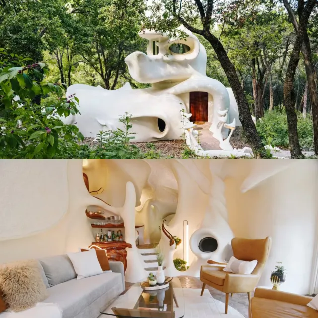 austin sculpture airbnb