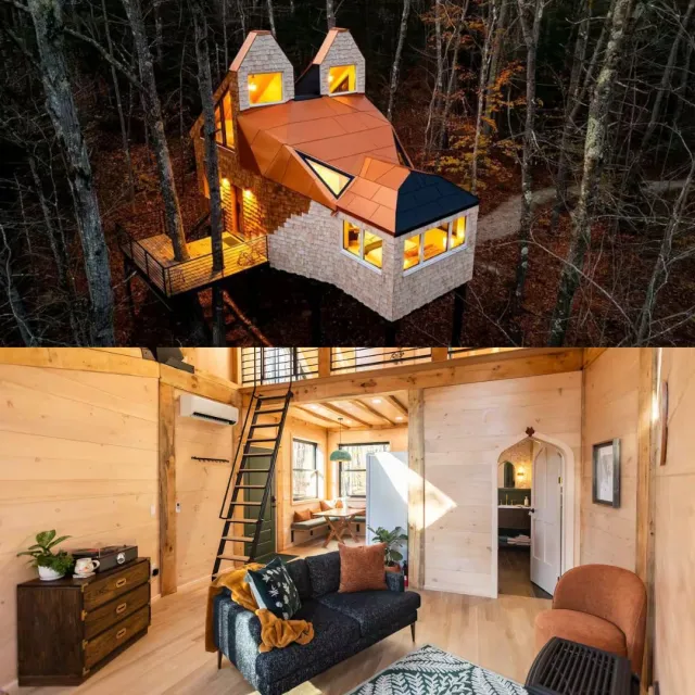 treehouse in the woods airbnb