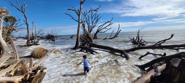 boy standing in waves looking out at driftwood