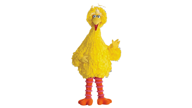 Big Bird Has Cousins & Here’s What They Look Like