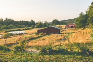 farmstay in WA