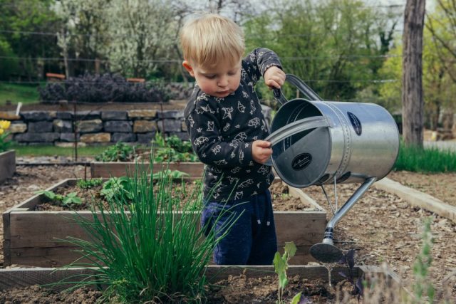 Get Growing! Your Guide to Gardening with Kids in NYC