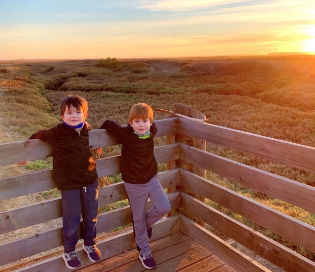 8 Beautiful San Diego Nature Preserves to Explore with Your Kids
