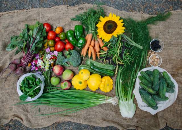 Unbox Farm-Fresh Produce, Flowers (& More) with These Seattle CSAs
