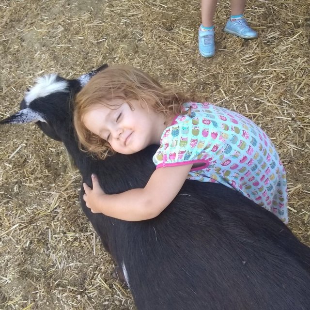 family-friendly farm stays in CA