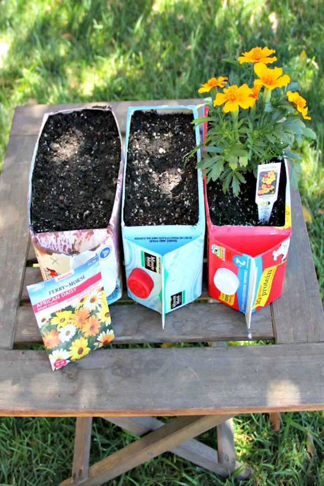 container gardens are a fun gardening project for kids