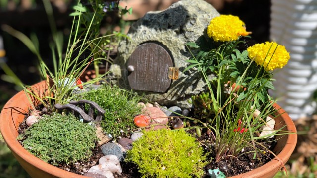 a fairy garden is a fun gardening project for kids