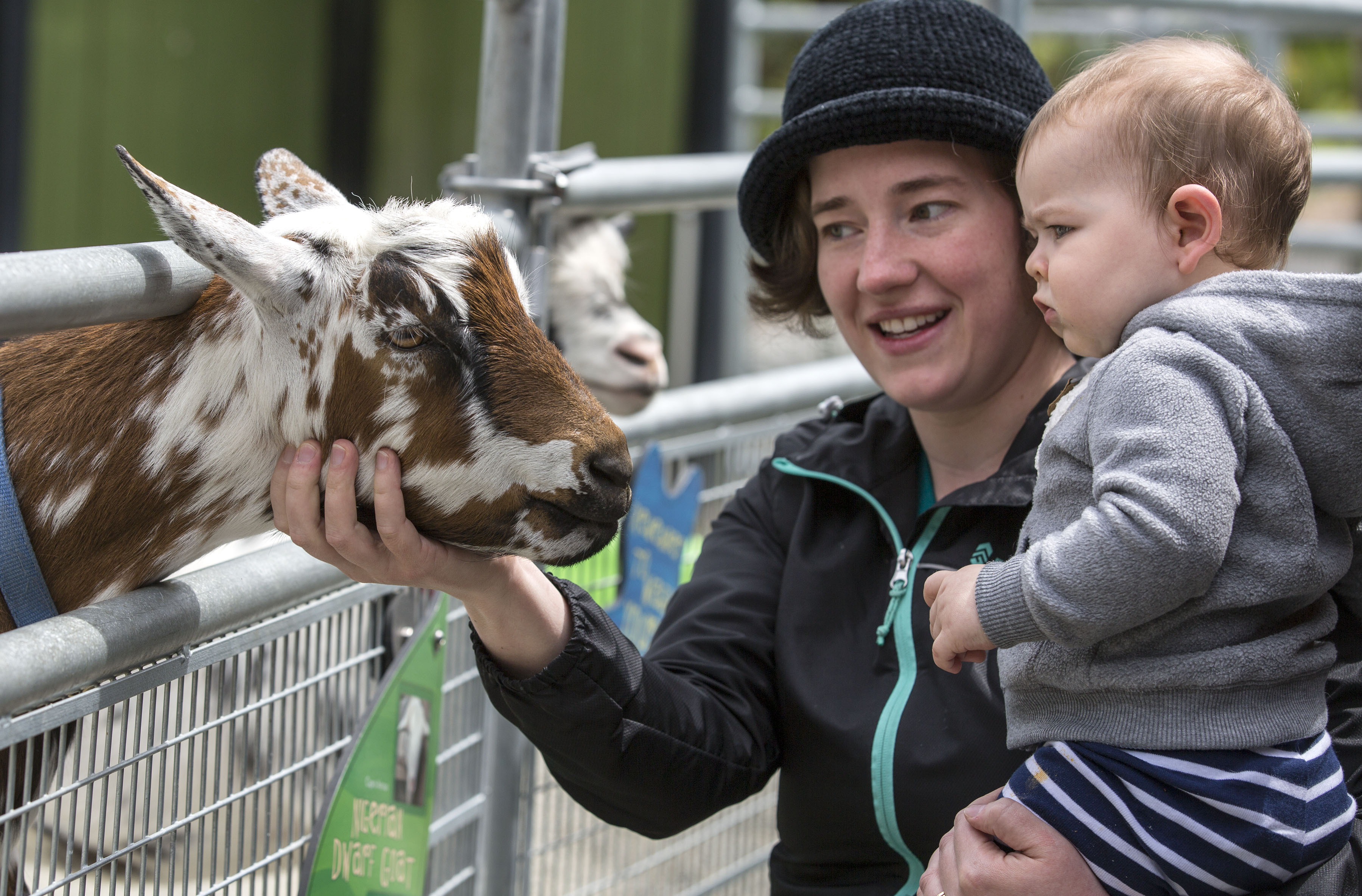 11 Petting Zoos & Farms | Seattle, WA