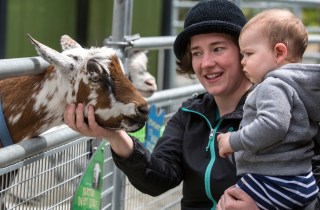 mom and child with a goat at Point Defiance Zoo petting farms and zoo
