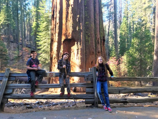 National Parks That Bay Area Kids Love (& Awesome Cabins Nearby)
