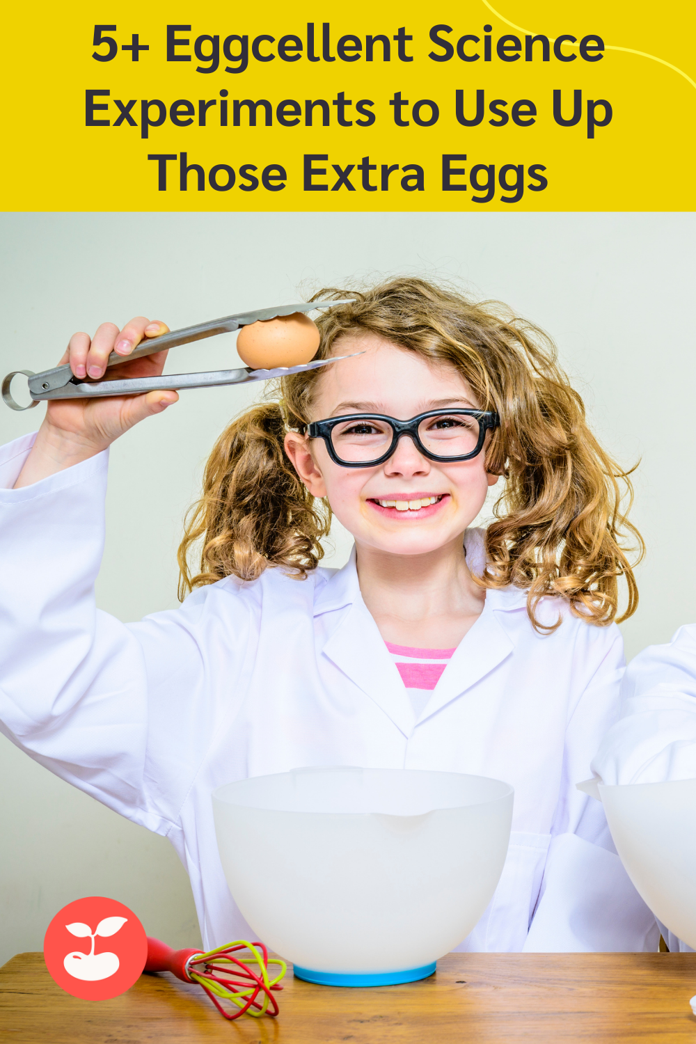 science experiments with egg cartons