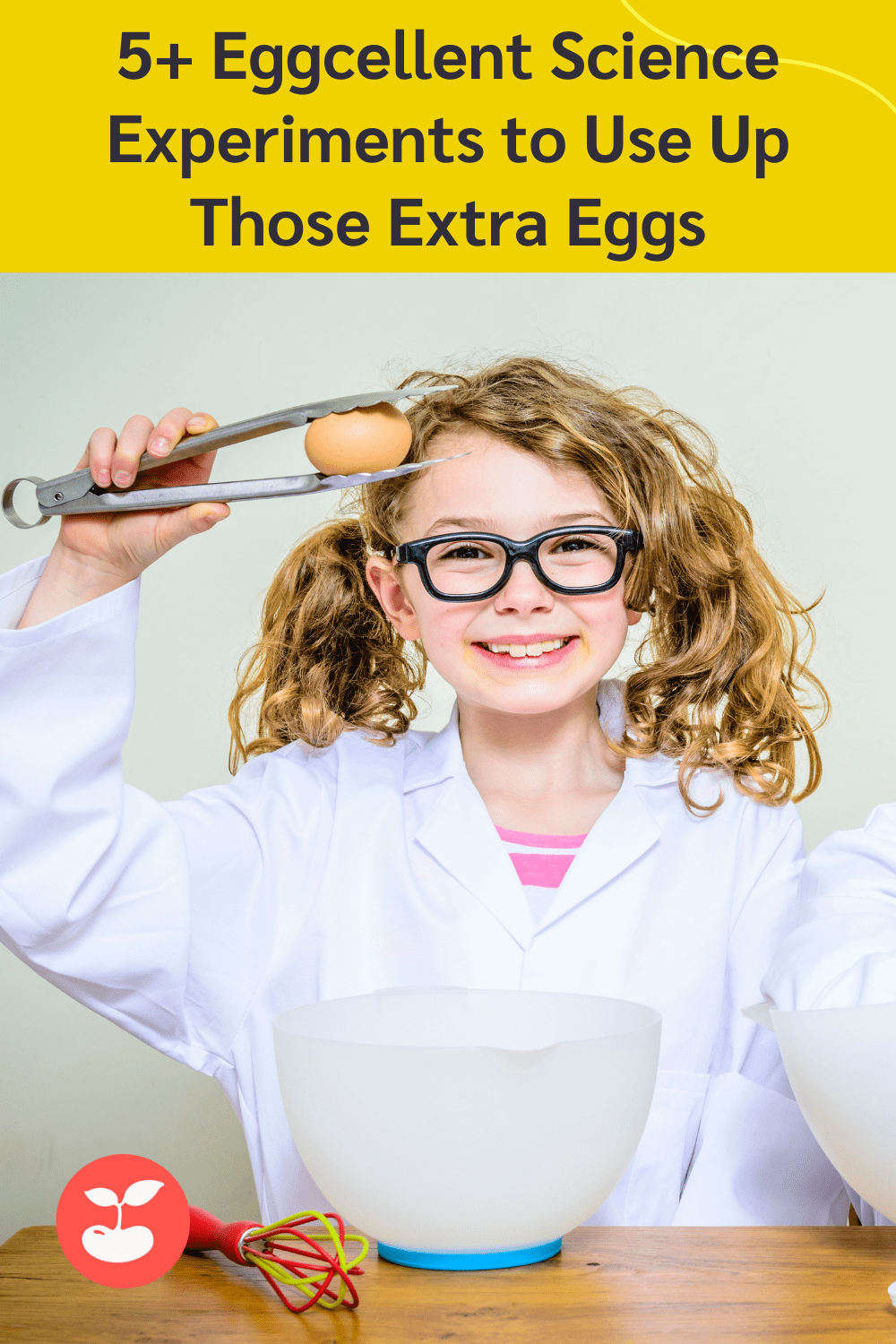 science experiments with eggs