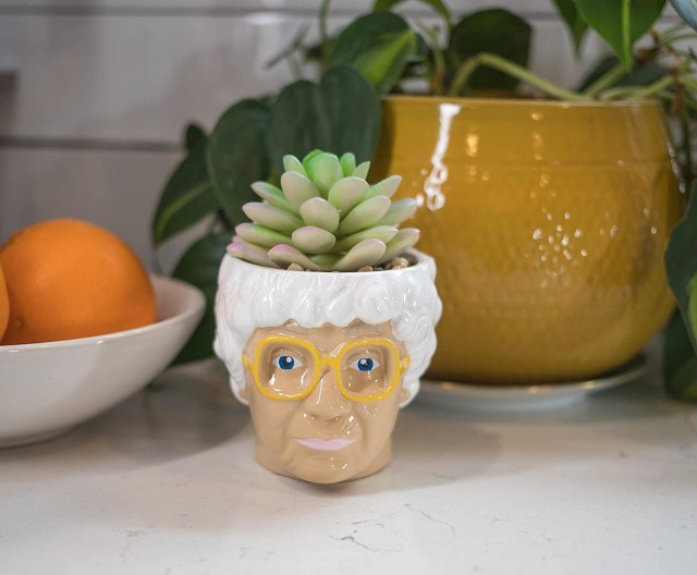 There’s a “Golden Girls” Planter & It’s Sophia Approved