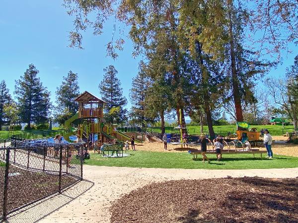 A picture of an all-abilities playground