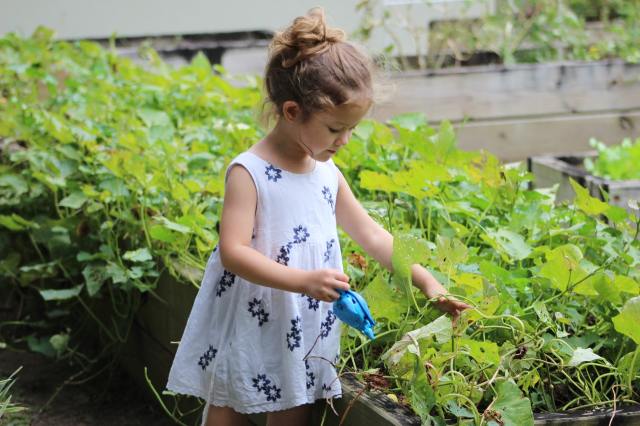 Hop into Spring with Lowe’s Free Garden Kits for Kids
