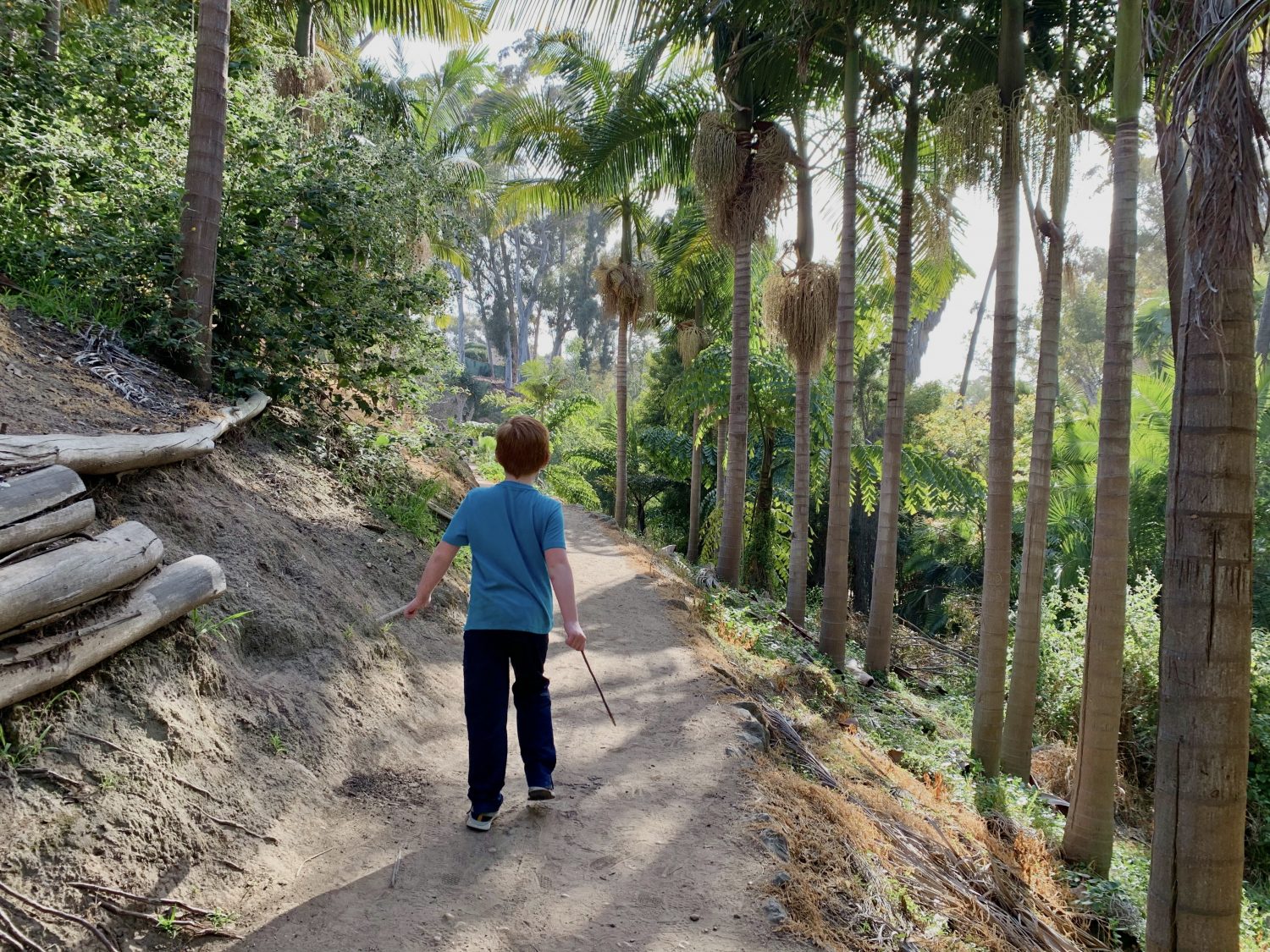 Balboa Park Hiking Trails Kid-Friendly Hiking Trails In San Diego