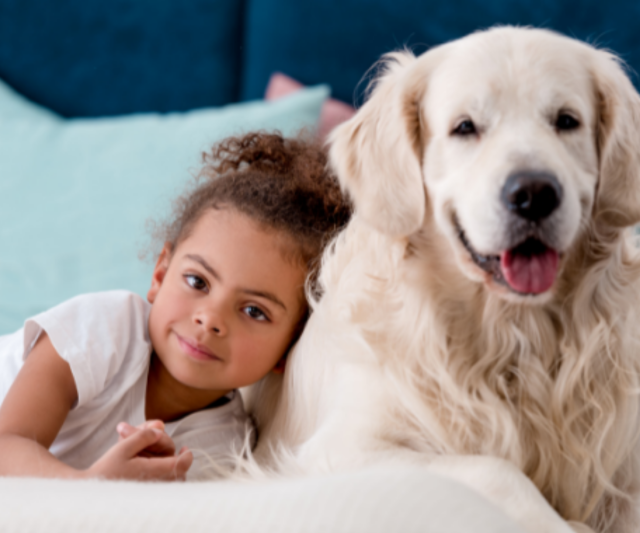 8 Questions to Ask Yourself Before Getting a Family Pet