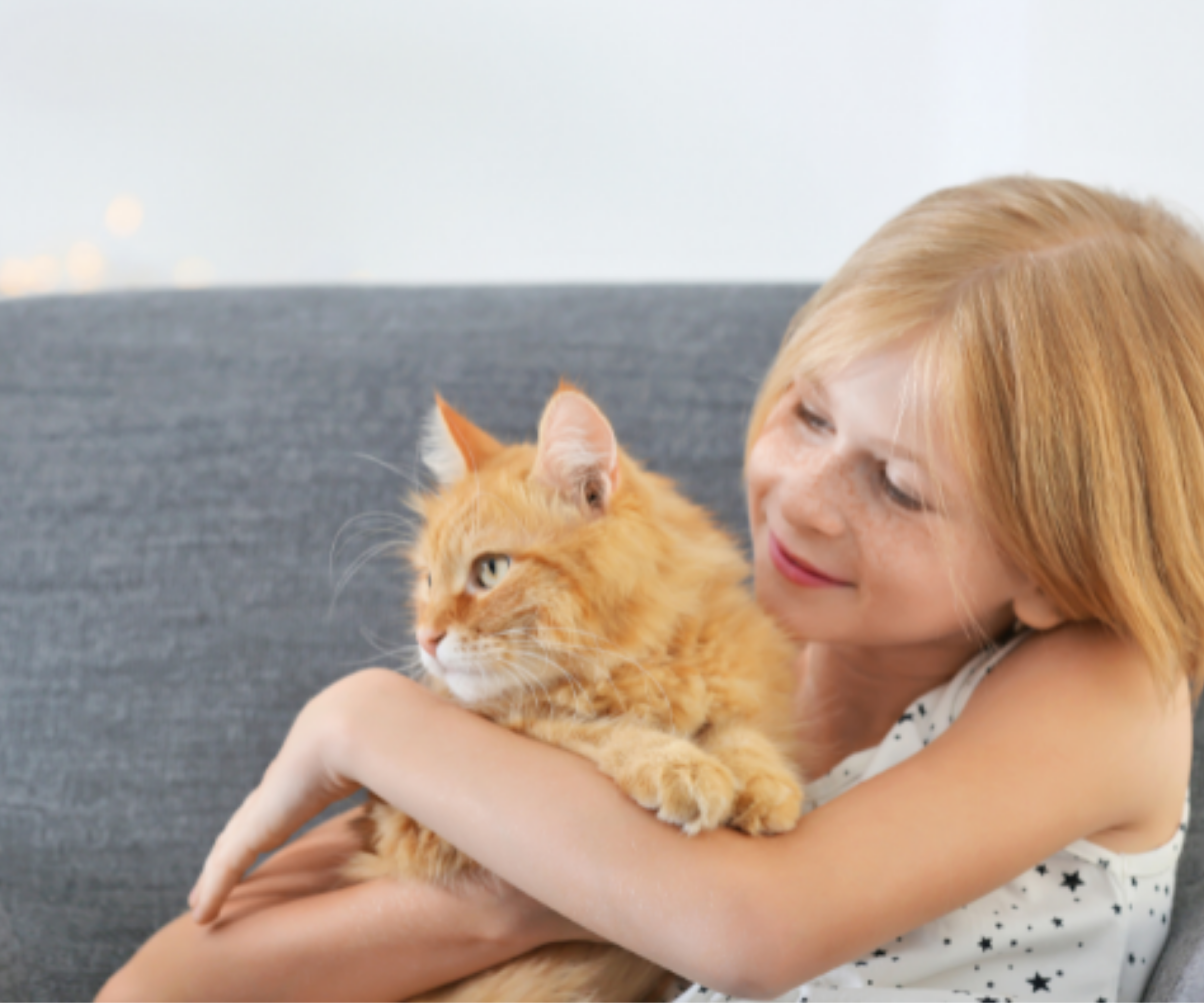 Five Ways Your Kids Can Help Take Care of Your Family Cat Tinybeans