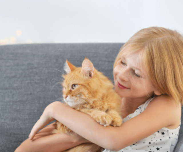 Five Ways Your Kids Can Help Take Care of Your Family Cat