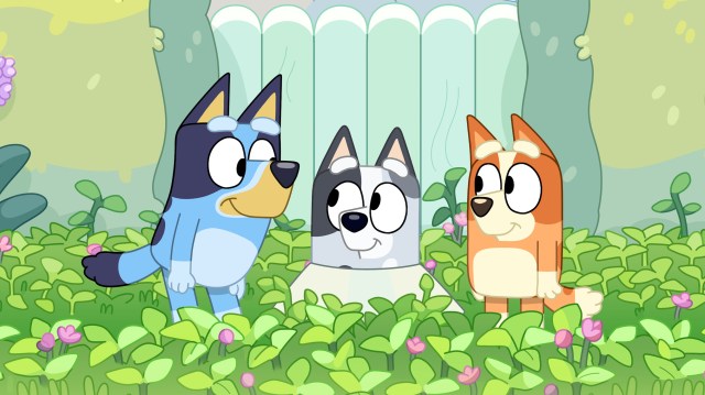 10 More Episodes of ‘Bluey’ Season 3 Are Dropping on Disney+