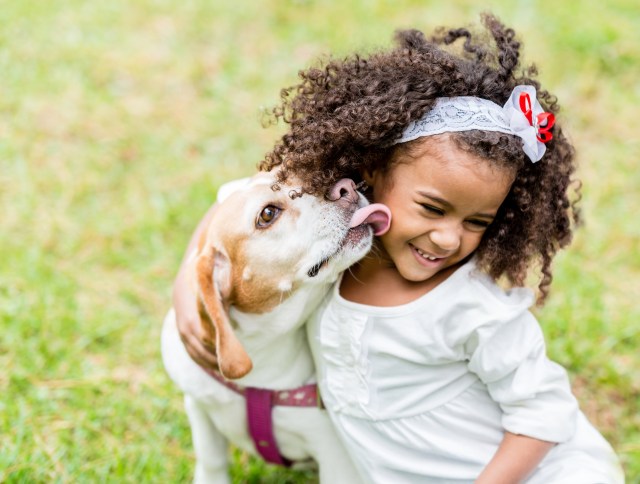 Everything You Need to Know About Fostering Animals