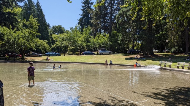 a few kids wade into volunteer park seattle sprayparks wading pools