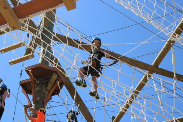 Aerial Adventure Courses for Families