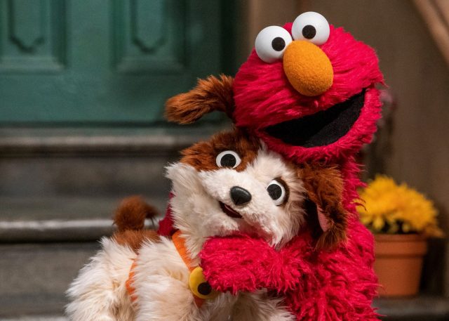 Sesame Street Is Growing! Meet Its Furry New Character