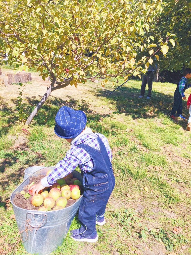 best apple picking near Los Angles oak glen apple picking with kids near LA