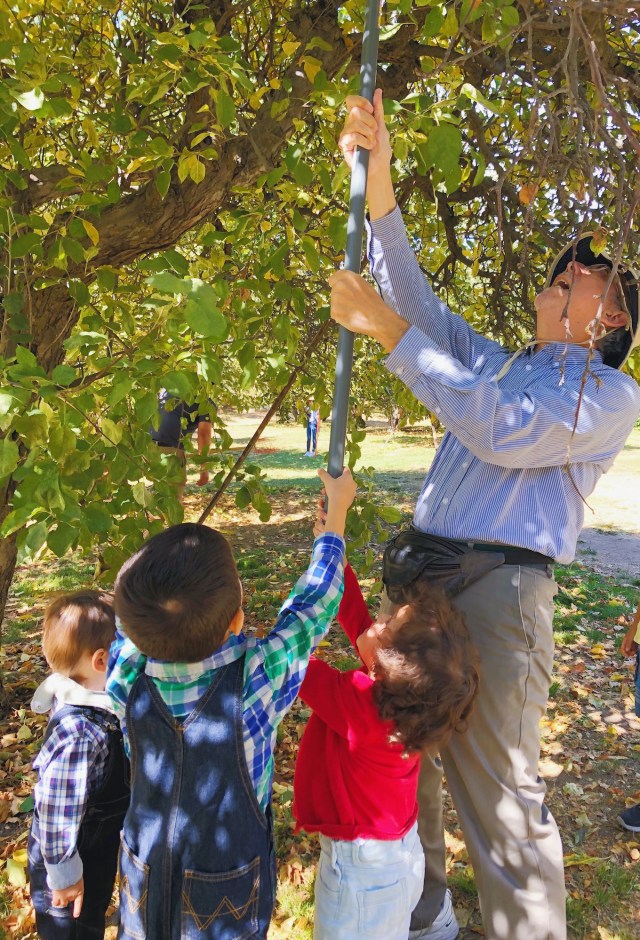 The best apple picking near los angeles with kids