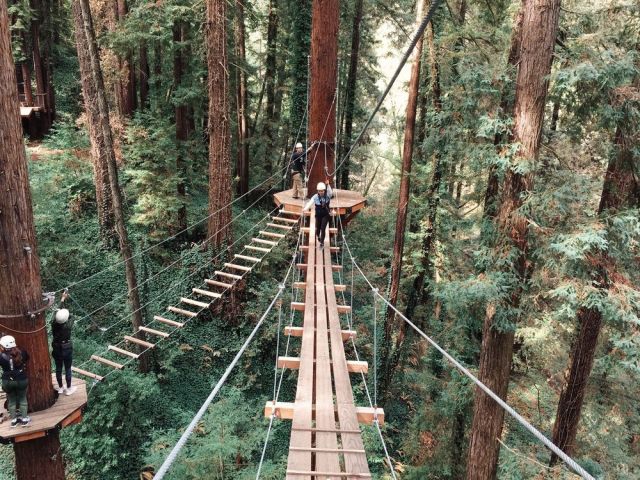 Ziplining & Treetop Rope Courses for Families in Northern California