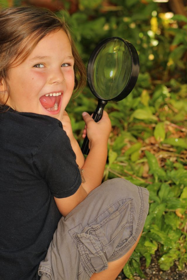A little boy finds a clue in the bushes during his family's tradition of having scavenger hunts
