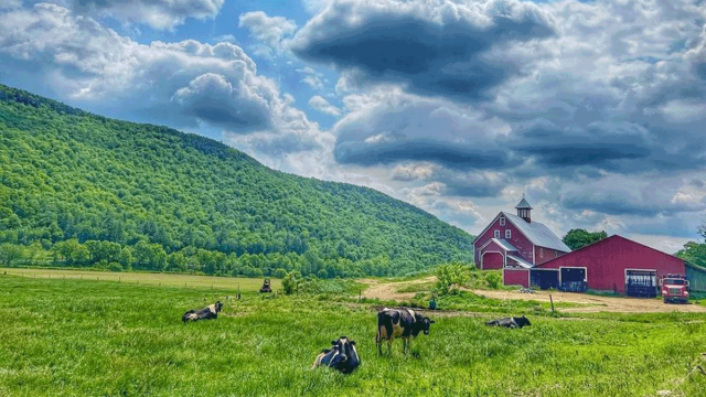 27 Farm Stays Every Family Should Experience