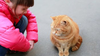 little girl and a cat laughing at animal jokes