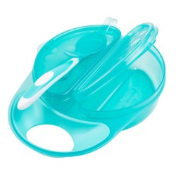 fest feeding tools dr browns bowl and spoon set