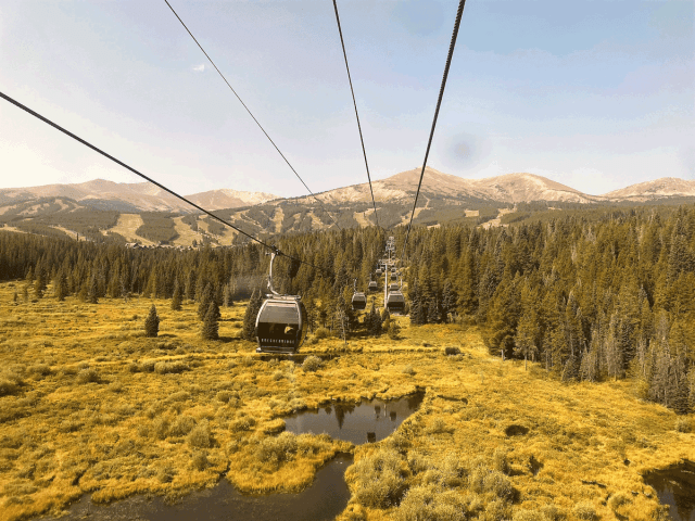 view of fall leaves from the breckenridge gondola