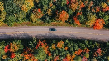 a car drives along a road between fall trees