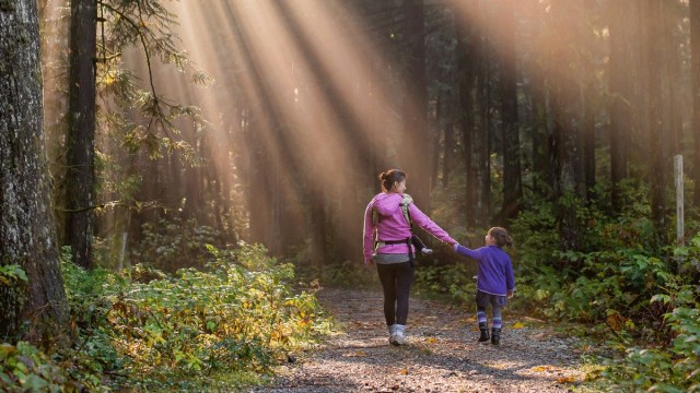 a mother and daughter hold hands on a fall hikes with sunlight pouring through the trees