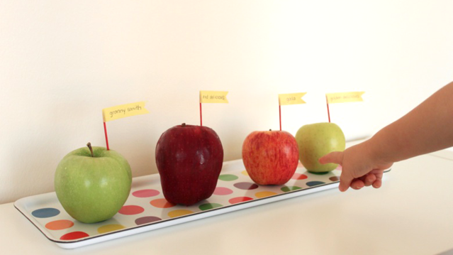 an apple taste test is a good fall science experiment