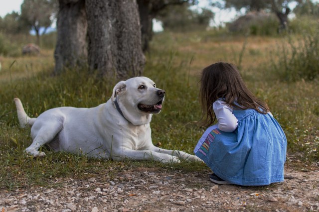 Why It's Important for Kids to Love Animals