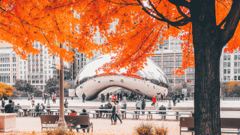 fall strolls in chicago