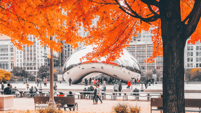 Walk This Way! Colorful Spots for Fall Strolls in Chicago