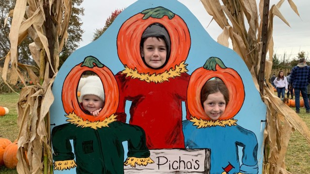 three kids pose in a seattle pumpkin patch cut out with corn maze in the background