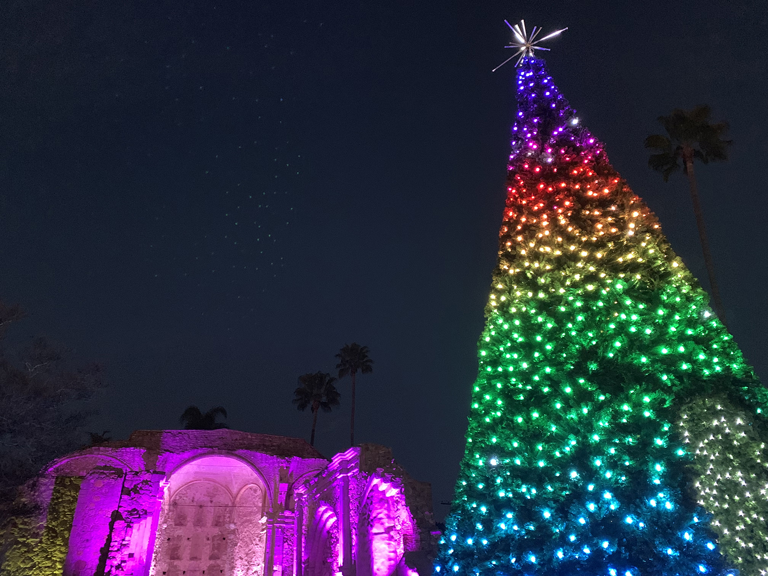 Capistrano Lights Tinybeans