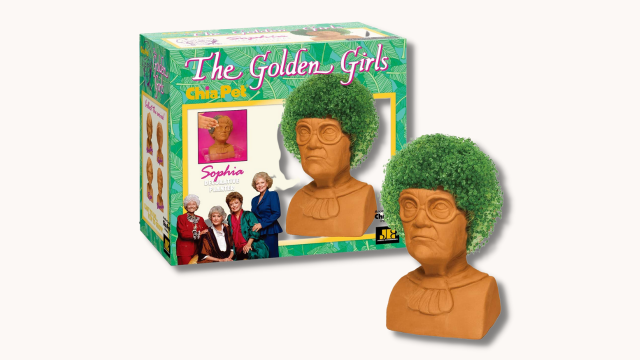 These Chia Pets Are Simply Golden (Girls)
